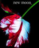 NATIVE AMERICAN .... Leyenda de la tribu QUILEUTE