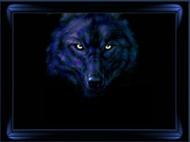 Chris Weitz revela un interesante detalle de Luna Nueva! Chris Weitz revela un interesante detalle de Luna Nueva!