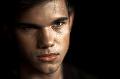 Taylor Lautner 4