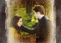 tarjetas new moon 10