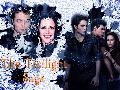 I love Twilight!